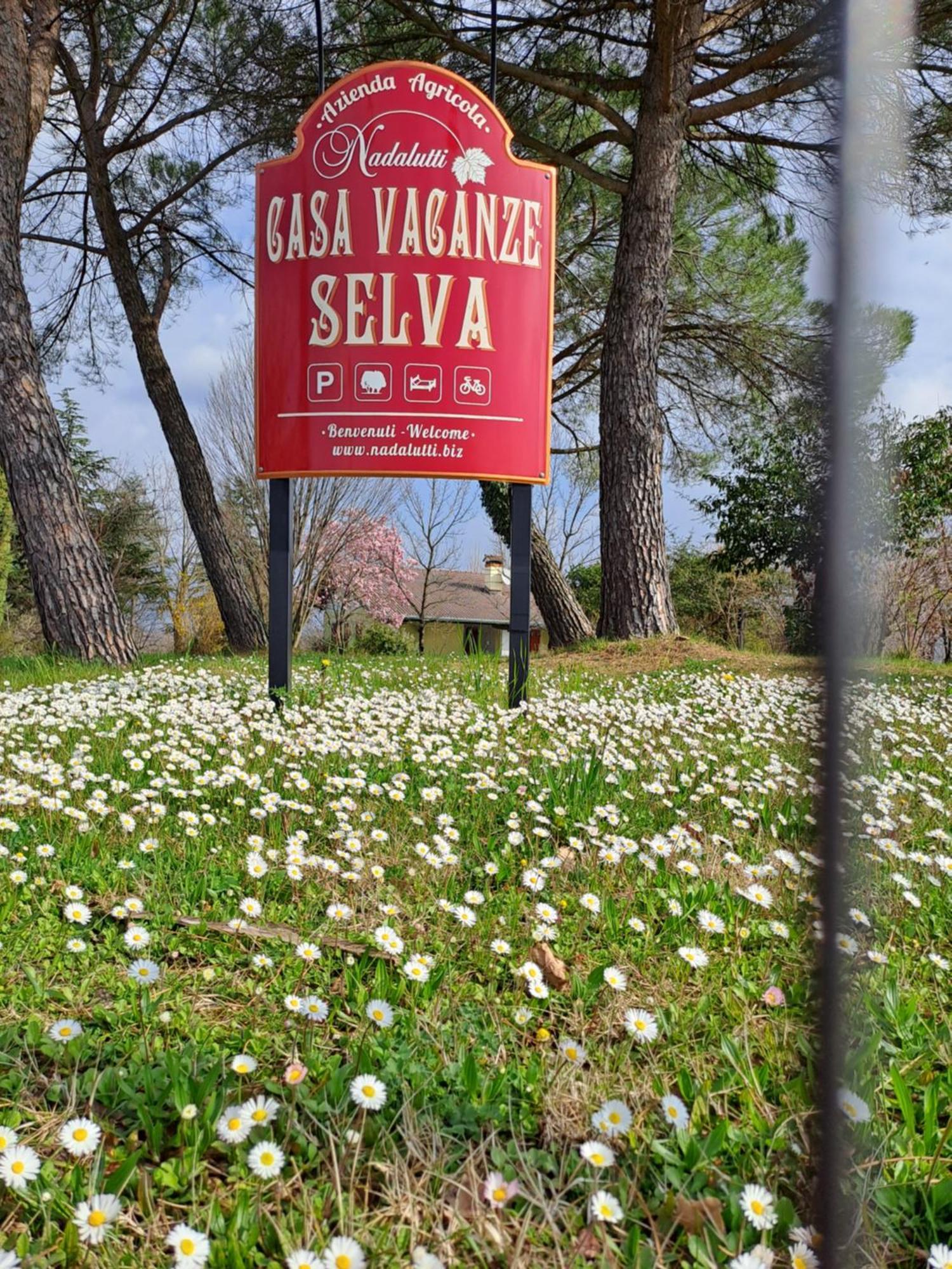 Casa Vacanze Selva Premariacco Bagian luar foto