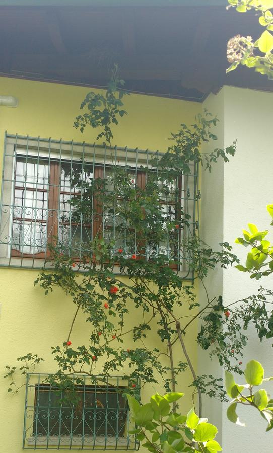 Casa Vacanze Selva Premariacco Bagian luar foto