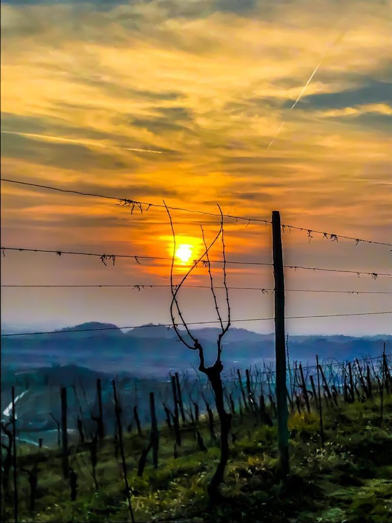 Casa Vacanze Selva Premariacco Bagian luar foto